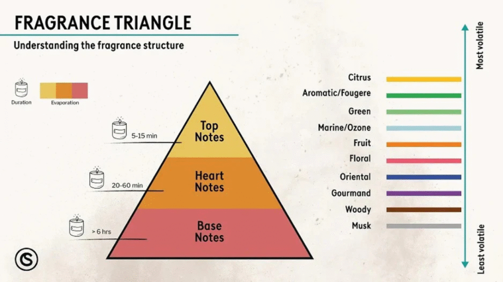 Understanding the Noted Aromas Scent Structure