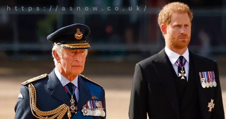 king charles and prince harry