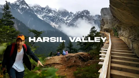 Harsil Valley Travel Guide: Best Time to Visit, Things to Do & Scenic Highlights Harsil Valley Travel Guide: Best Time to Visit, Things to Do & Scenic Highlights